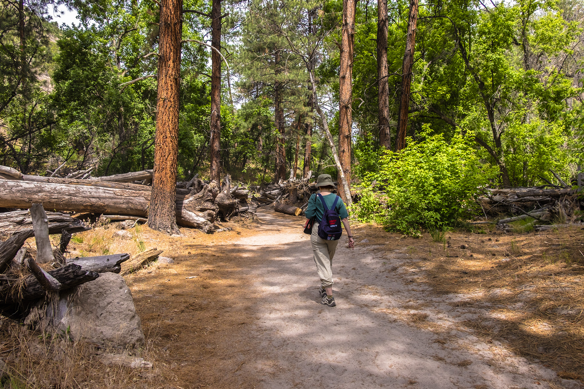 woman walking in the woods